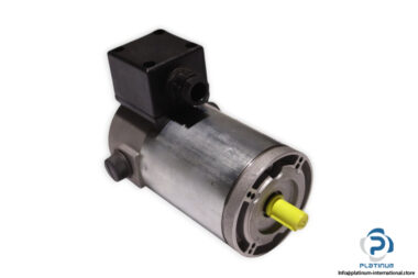 tem-PMM30120309M-dc-electric-motor-(new)