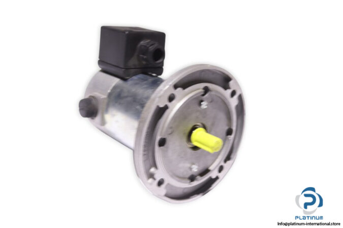 tem-PMM30120409M-dc-electric-motor-(new)