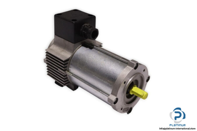 tem-Q3S20120309M-dc-electric-motor-(new)