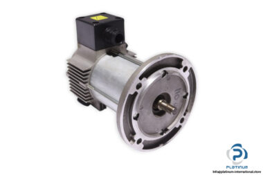 tem-Q3S30120409M-dc-electric-motor-(new)