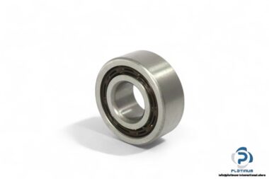 isb-4204-ATN9-double-row-deep-groove-ball-bearing-(new)-1