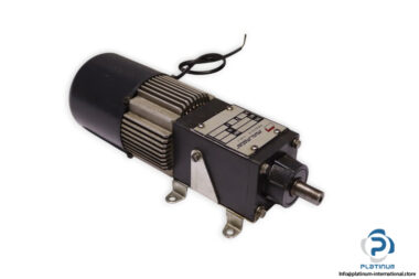 mini-motor-SE244PT-gear-motor(new)