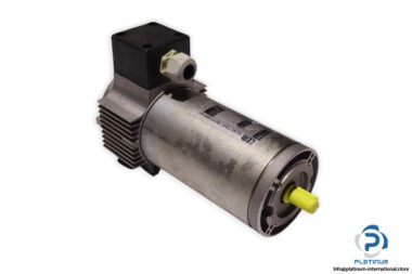 tem-Q4M20170309M-dc-electric-motor-(new)