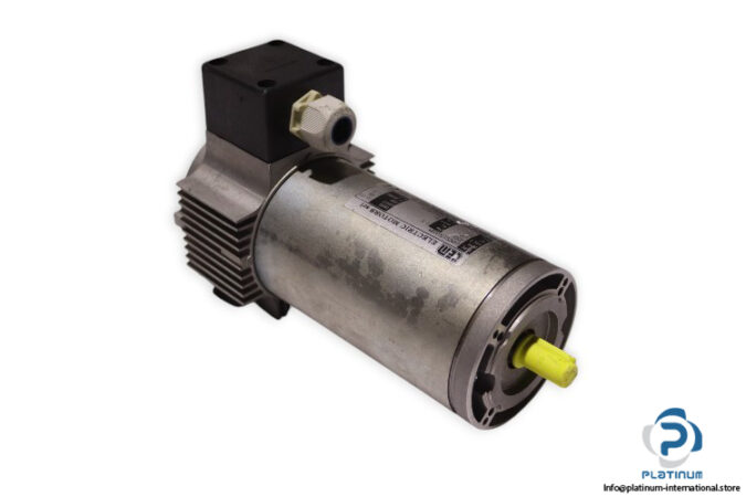 tem-Q4M20170309M-dc-electric-motor-(new)