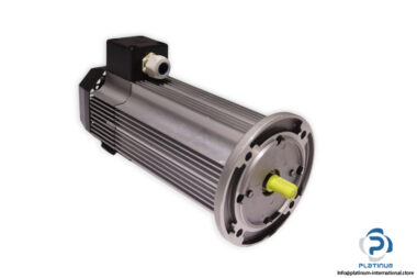 tem-Q7L10240409M-dc-electric-motor-(new)