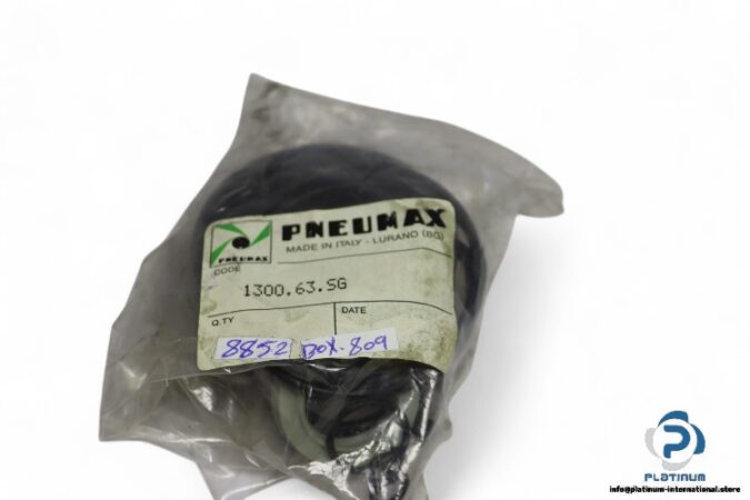 pneumax-1300.63.SG-seal-kit-(new)-1