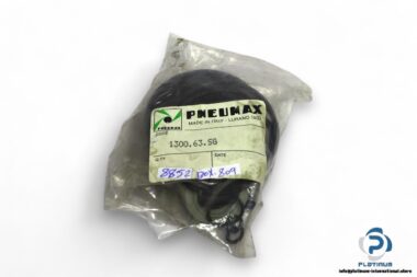 pneumax-1300.63.SG-seal-kit-(new)-2