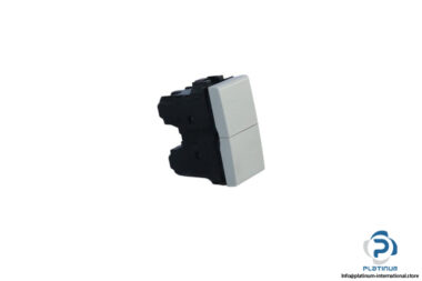 bticino-N4036-double-pushbutton-switch-(new)