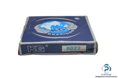 kg-6022-deep-groove-ball-bearing-new-carton-1