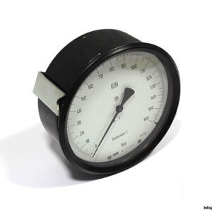 riegler-15087986-pressure-gauge-2