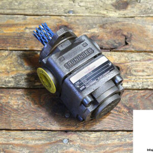 truninger-QX21-012_R-BIM-internal-gear-pump