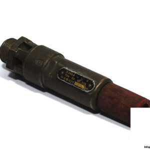 braukmann-S245-A-3_4”-safety-valve