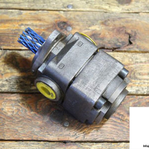 truninger-qx21-012_r-bim-internal-gear-pump-1