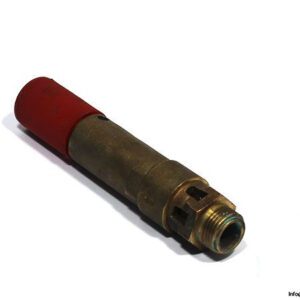 braukmann-s245-a-1_2-safety-valve-1