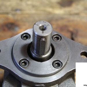 truninger-qx21-012_r-bim-internal-gear-pump-2