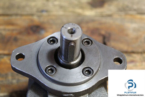 truninger-qx21-012_r-bim-internal-gear-pump-2