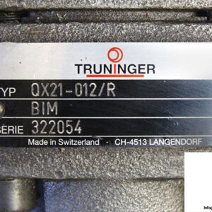 truninger-qx21-012_r-bim-internal-gear-pump-3