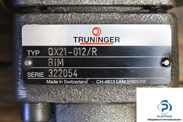 truninger-qx21-012_r-bim-internal-gear-pump-3