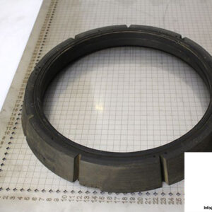 demag-09972884-_-riw-brake-ring