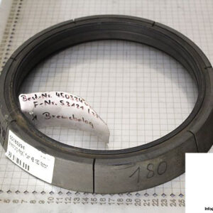 demag-09972884-_-riw-brake-ring