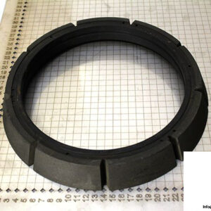 demag-08974684-_-riw-brake-ring