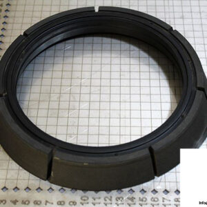 demag-07978684-_-riw-brake-ring