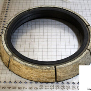 demag-07971284-_-riw-brake-ring