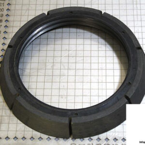 demag-07475684-_-riw-brake-ring