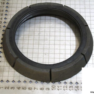 demag-06978684-_-riw-brake-ring-2