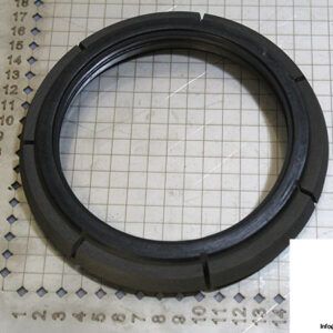 demag-06978784-_-riw-brake-ring