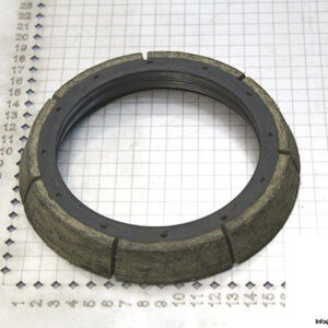 demag-06971284-_-riw-brake-ring-1
