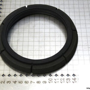 demag-06478784-_-riw-brake-ring