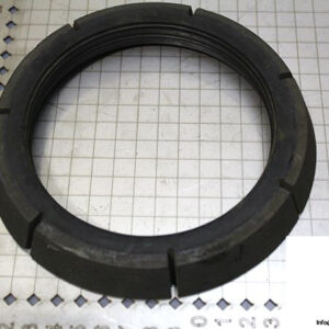 demag-06478684-_-riw-brake-ring