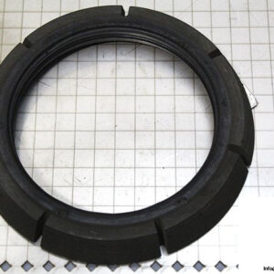 demag-05978684-_-riw-brake-ring