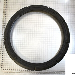 demag-09972884-_-riw-brake-ring-1