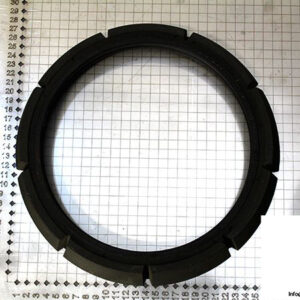 demag-08974684-_-riw-brake-ring-1