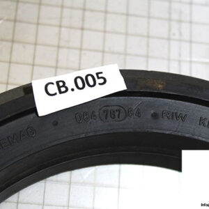 demag-08478784-_-riw-brake-ring-2