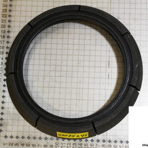 demag-08478684-_-riw-brake-ring-1