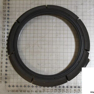 demag-07978684-_-riw-brake-ring-1
