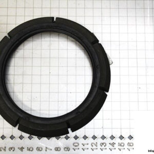 demag-05978684-_-riw-brake-ring-1