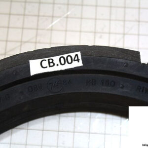 demag-08974684-_-riw-brake-ring-2