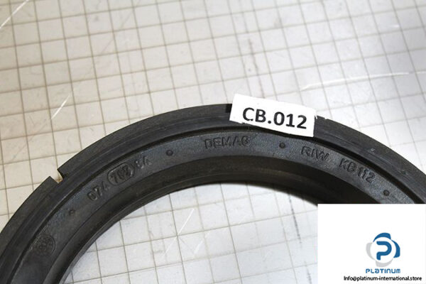 demag-07478784-_-riw-brake-ring-2