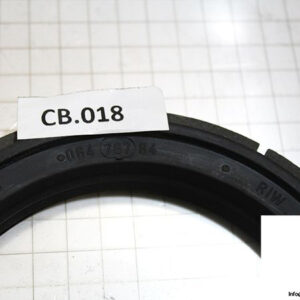 demag-06478784-_-riw-brake-ring-2