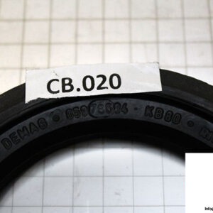 demag-05978684-_-riw-brake-ring-2