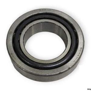 bearings-image-010