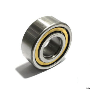 tmp-NUP2310M-cylindrical-roller-bearing