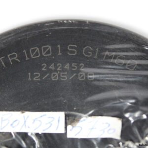 STR-1001-S-G1M60-filter-element-(new)-1