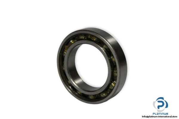 ldi-6010Z-deep-groove-ball-bearing-(new)