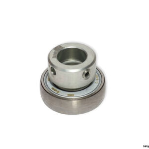 ina-RAE17-XL-NPP-B-insert-ball-bearing-(new)-(carton)-1