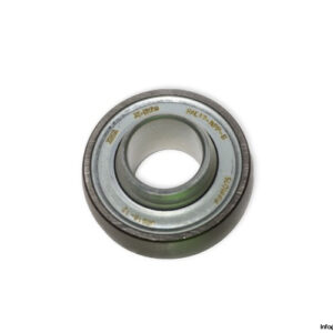 ina-RAE17-XL-NPP-B-insert-ball-bearing-(new)-(carton)-2